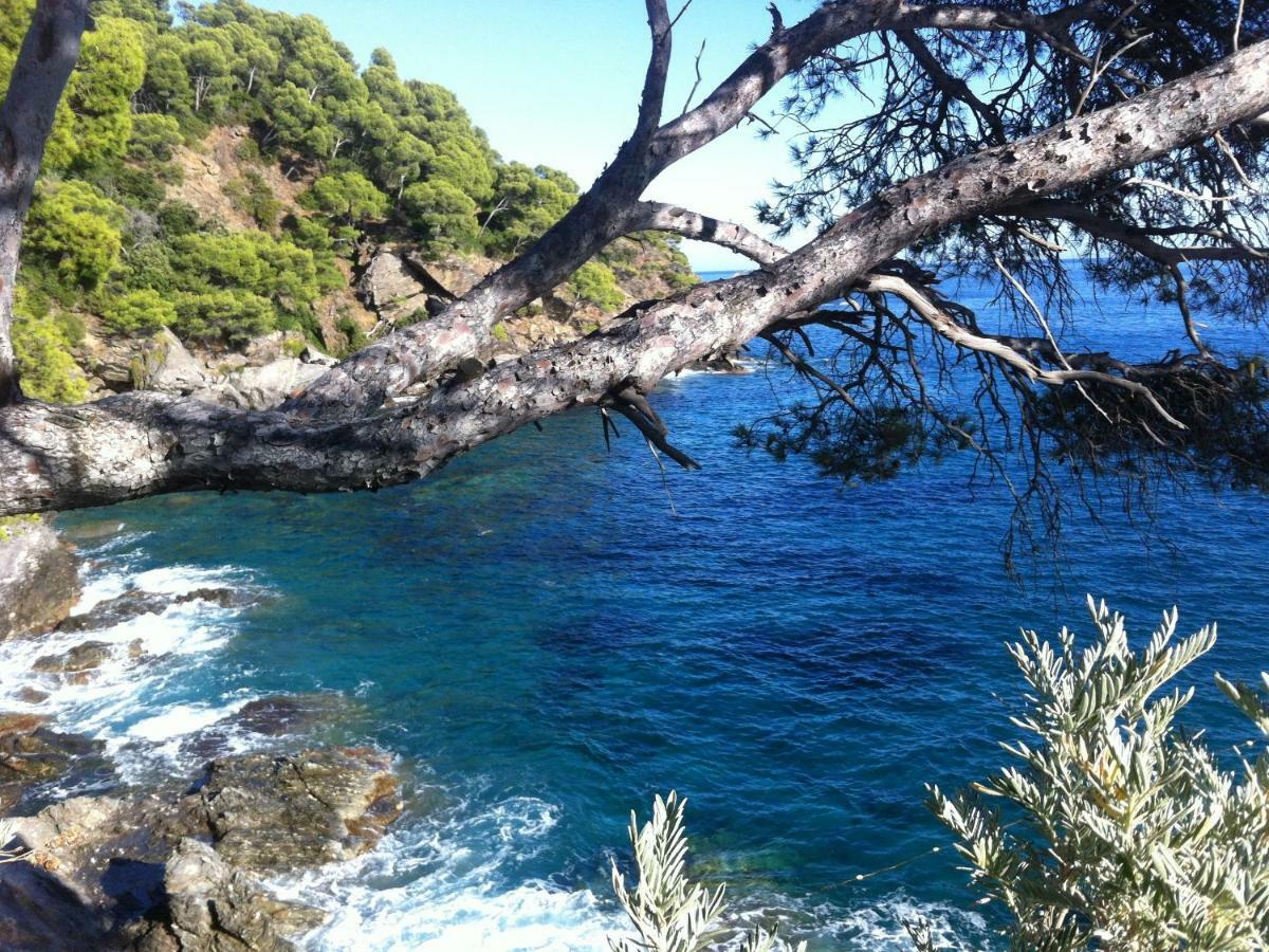 Villa De Vacances Au Calme Proche De La Mer 拉隆德莱丝莫里斯 外观 照片